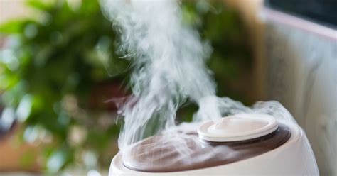 will a humidifier help with a cough at night|5 humidifier uses: Benefits and risks .